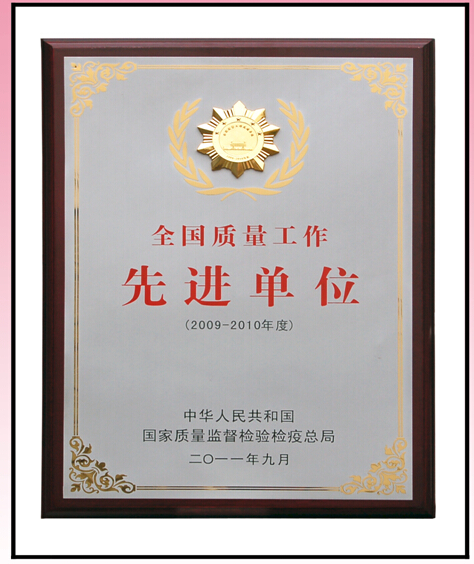 彩虹集團(tuán)先進(jìn)單位獎(jiǎng)牌