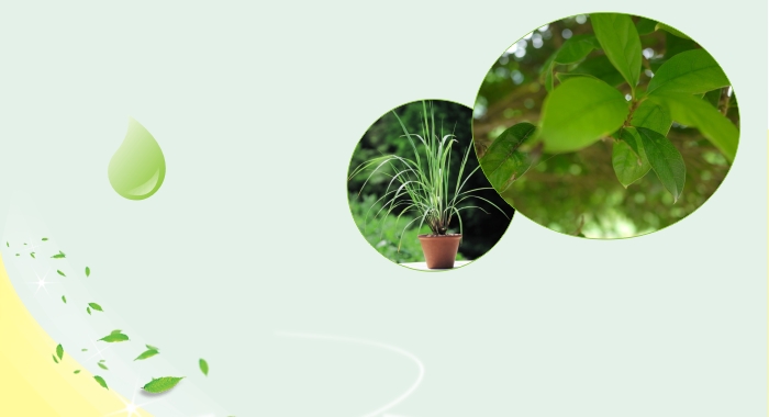 彩虹戶外驅(qū)蚊貼采用植物精油驅(qū)蚊配方，獨(dú)特的緩釋技術(shù)