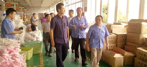 成都市安監(jiān)局領(lǐng)導(dǎo)一行到公司進(jìn)行安全檢查