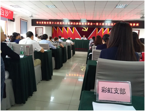 成都彩虹集團日化黨支部學習成都市第十三次黨代會精神