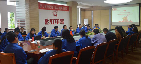 成都彩虹集團(tuán)黨委召開學(xué)習(xí)宣傳黨的十九大精神工作會