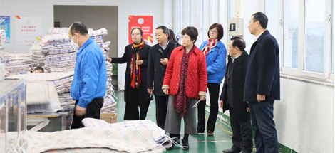 中國輕工業(yè)聯合會副會長何燁一行蒞臨成都彩虹集團參觀指導