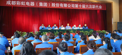 公司召開第十屆六次職工代表大會(huì)