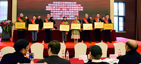 公司榮獲首屆四川縣域經(jīng)濟(jì)創(chuàng)新發(fā)展優(yōu)秀企業(yè)稱號(hào)
