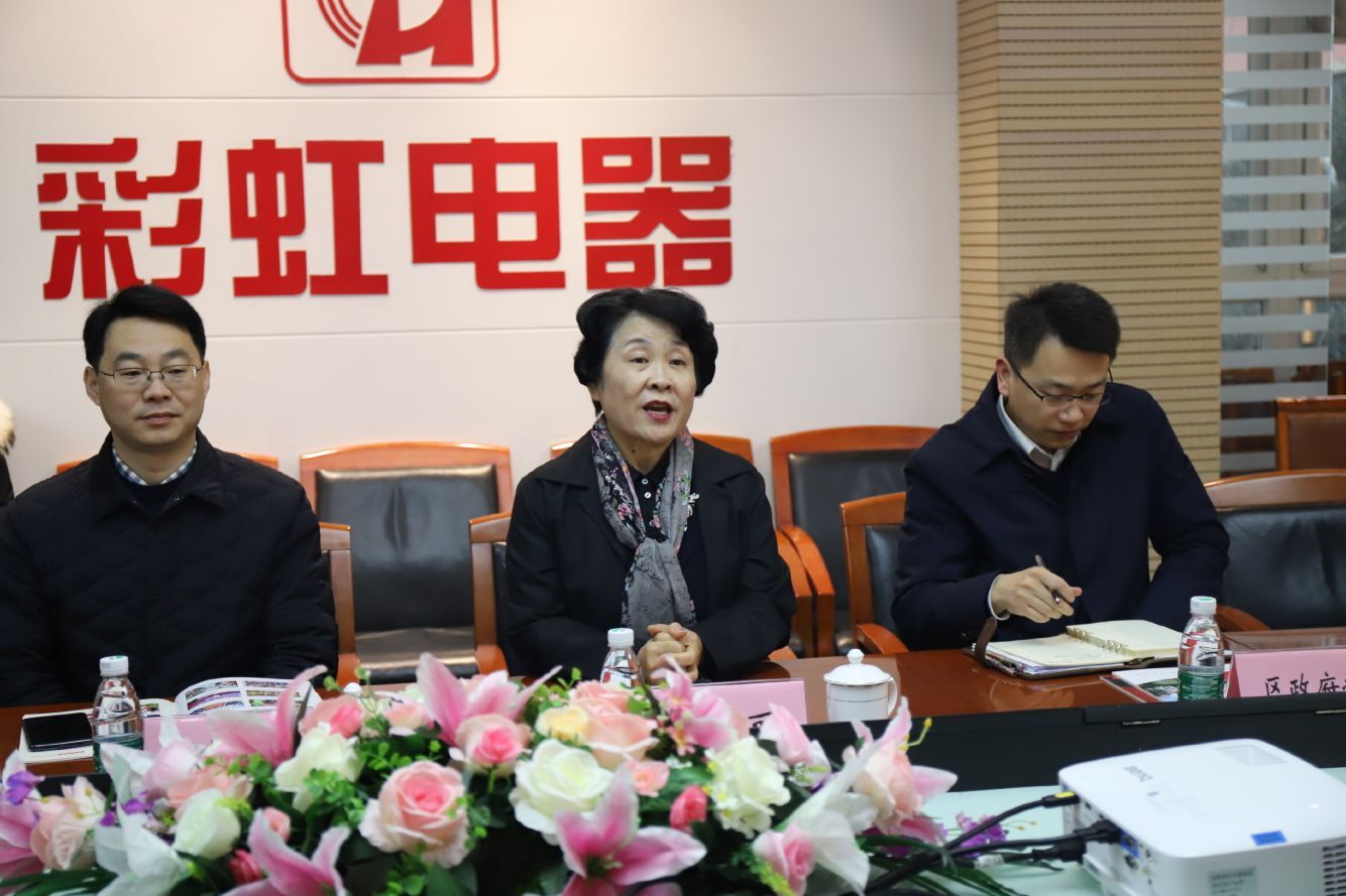 成都市武侯區(qū)林麗區(qū)長到成都彩虹集團開展節(jié)前慰問