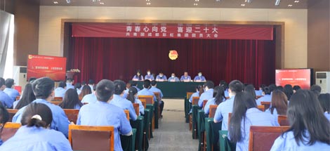 成都彩虹集團(tuán)召開2022年團(tuán)員大會暨團(tuán)委換屆選舉會議